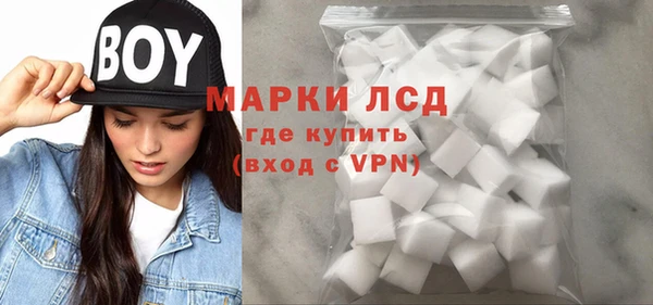 mdpv Инсар