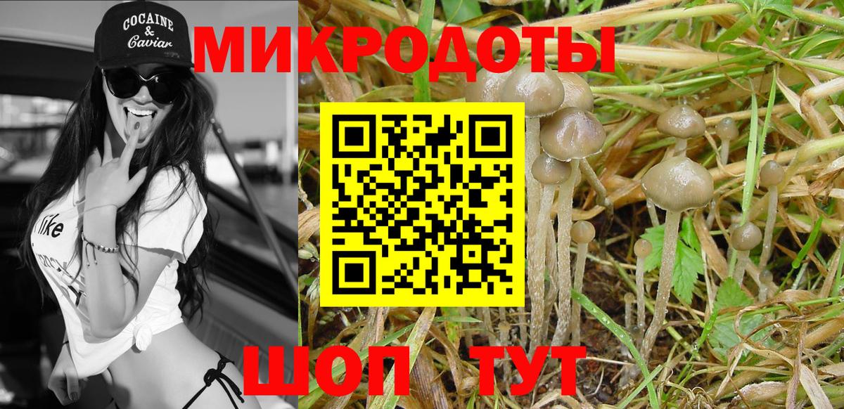 Псилоцибиновые грибы Magic Shrooms  Вход с VPN  магазин  наркотиков  Когалым 